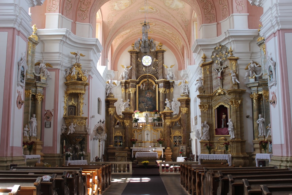 people inside white and brown cathedral