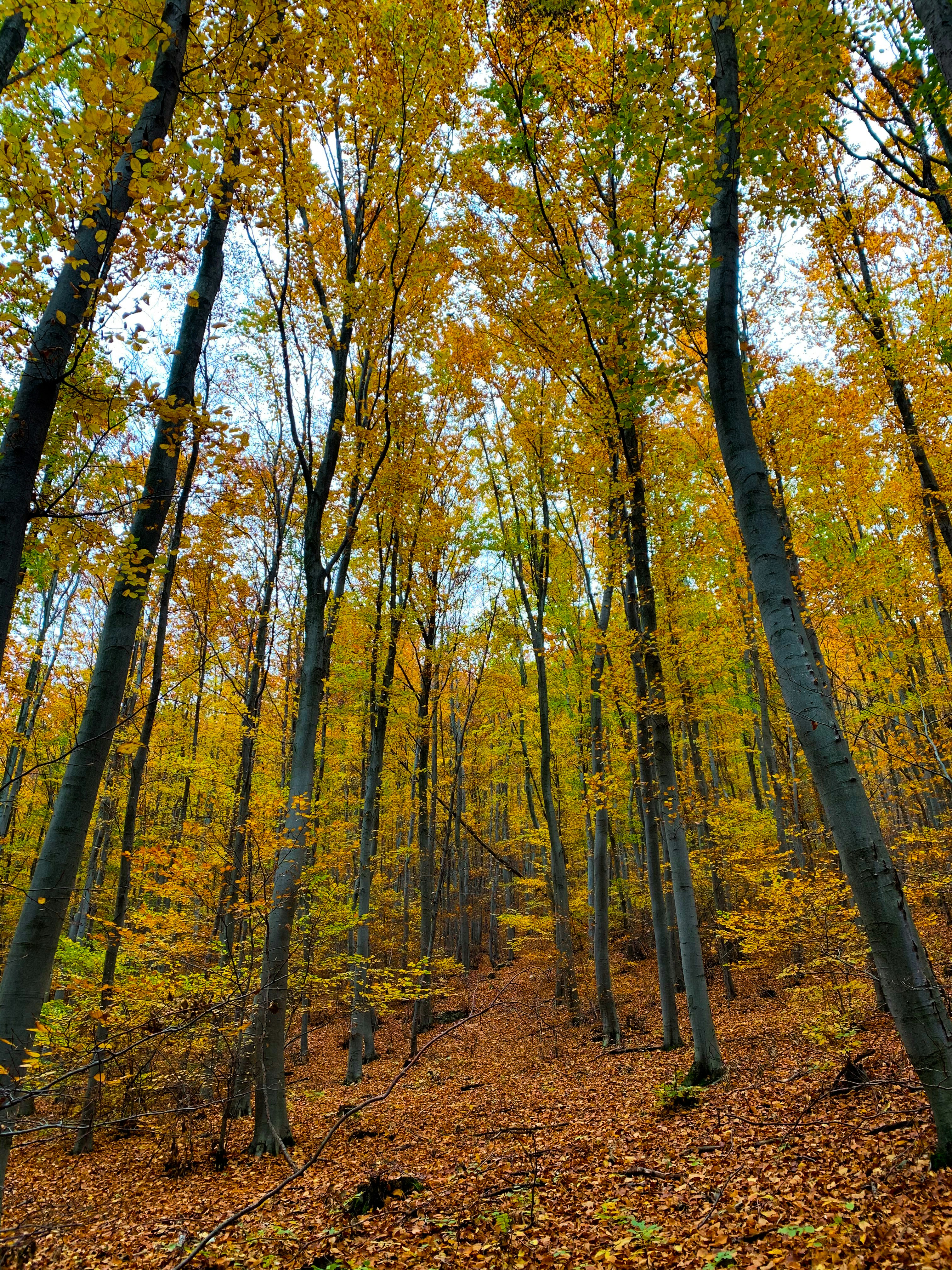 Photo by vanyurvivien