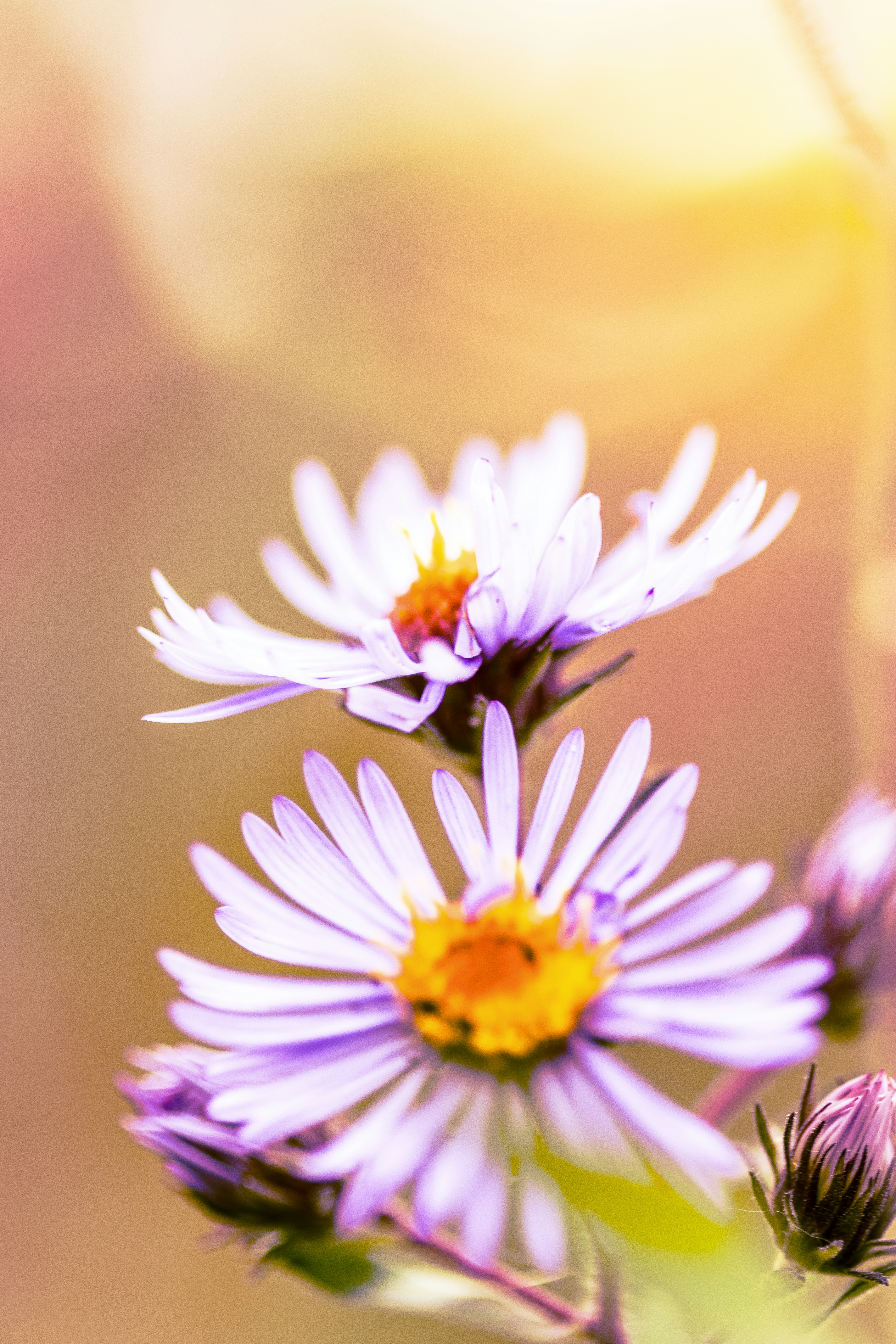 Photo by funguy_photography