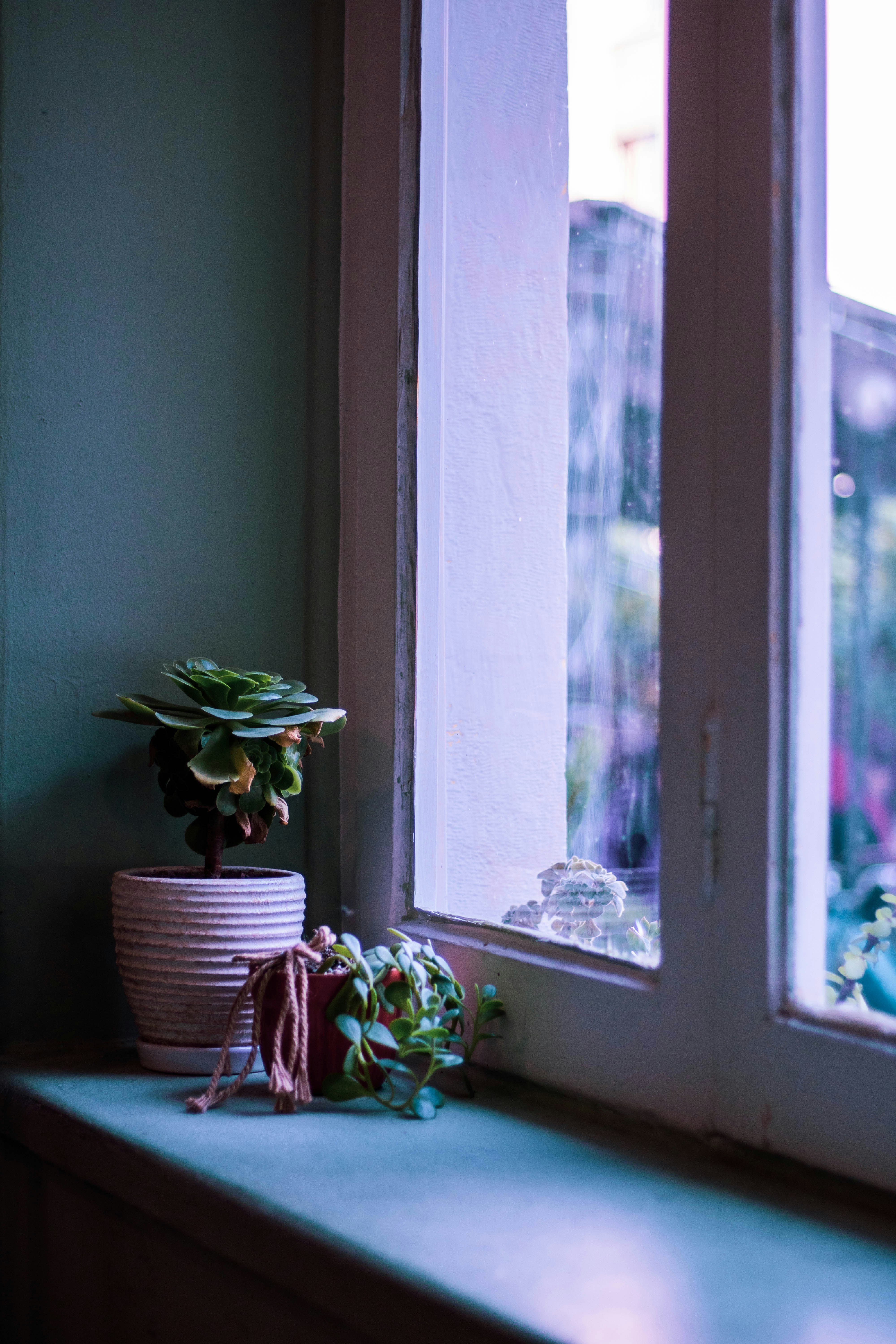 Photo by blueswallow