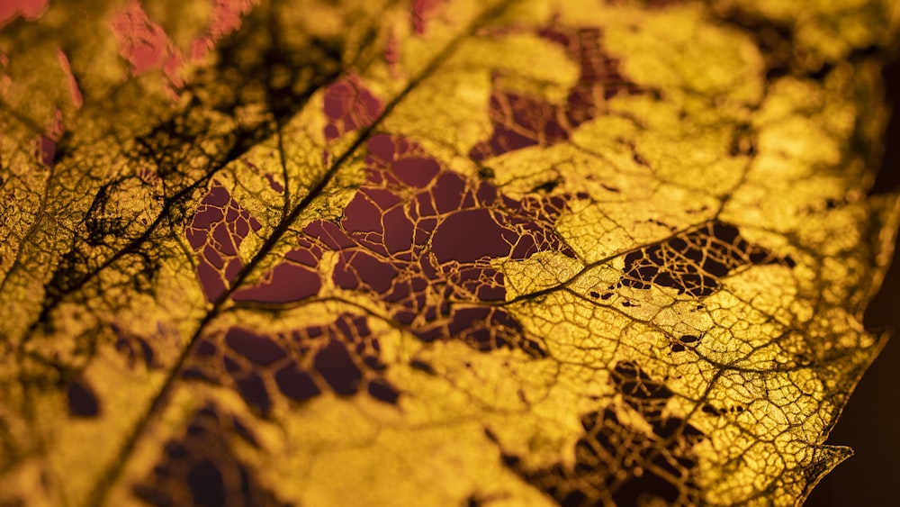 yellow and red floral textile