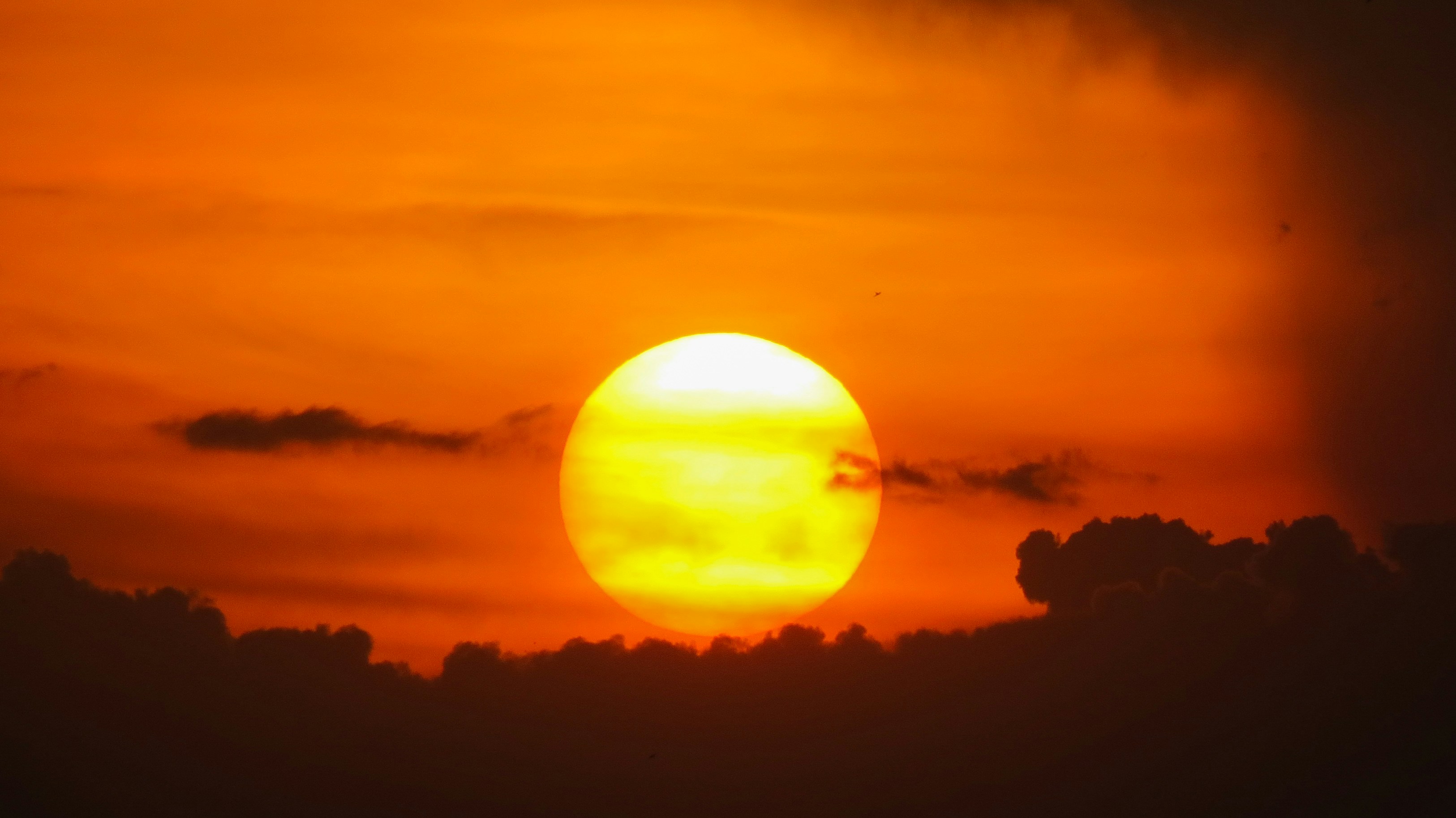 Photo by anandramavath_786