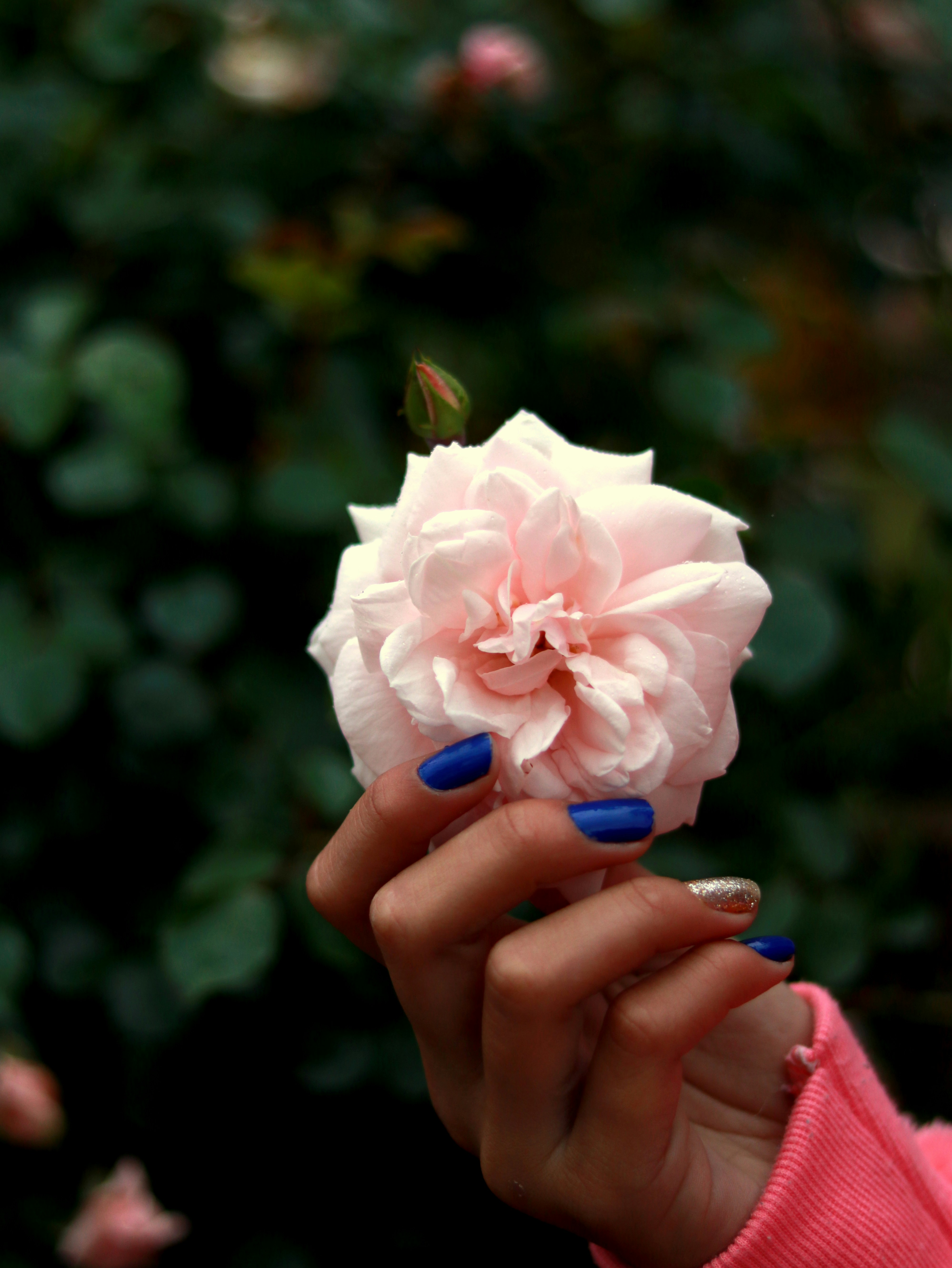 Photo by luizabraun