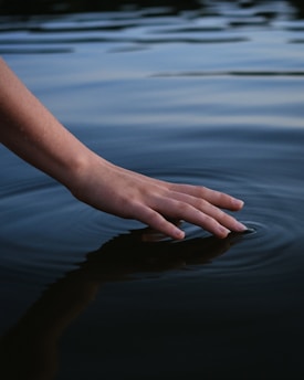 persons hand on body of water