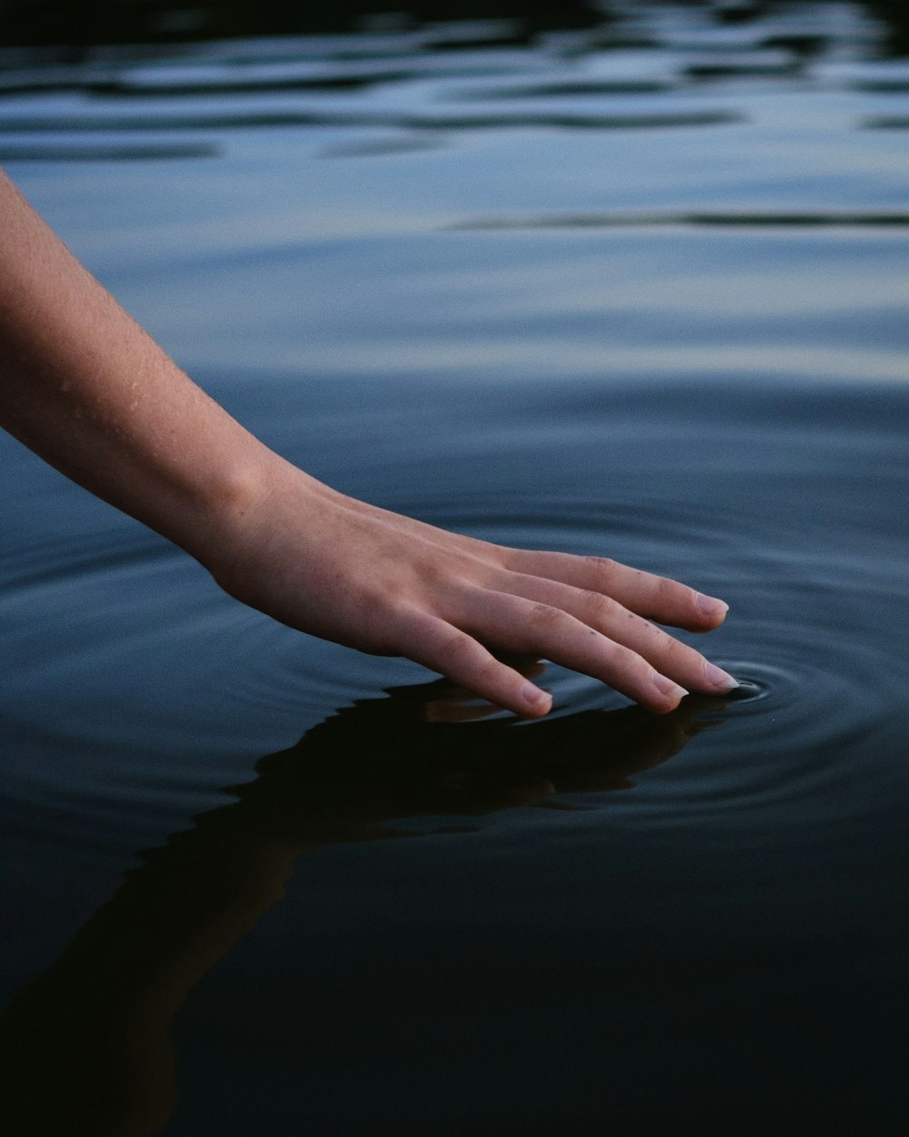 persons hand on body of water