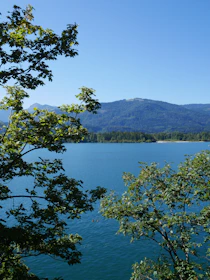 Beautiful view of Ooty lake surrounded by lush greenery under a clear sky.