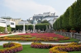 The serene gardens of Salzburg’s Mirabell Palace with blooming flowers and statues.