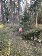 A vibrant orienteering map designed for a sports competition in a forested area