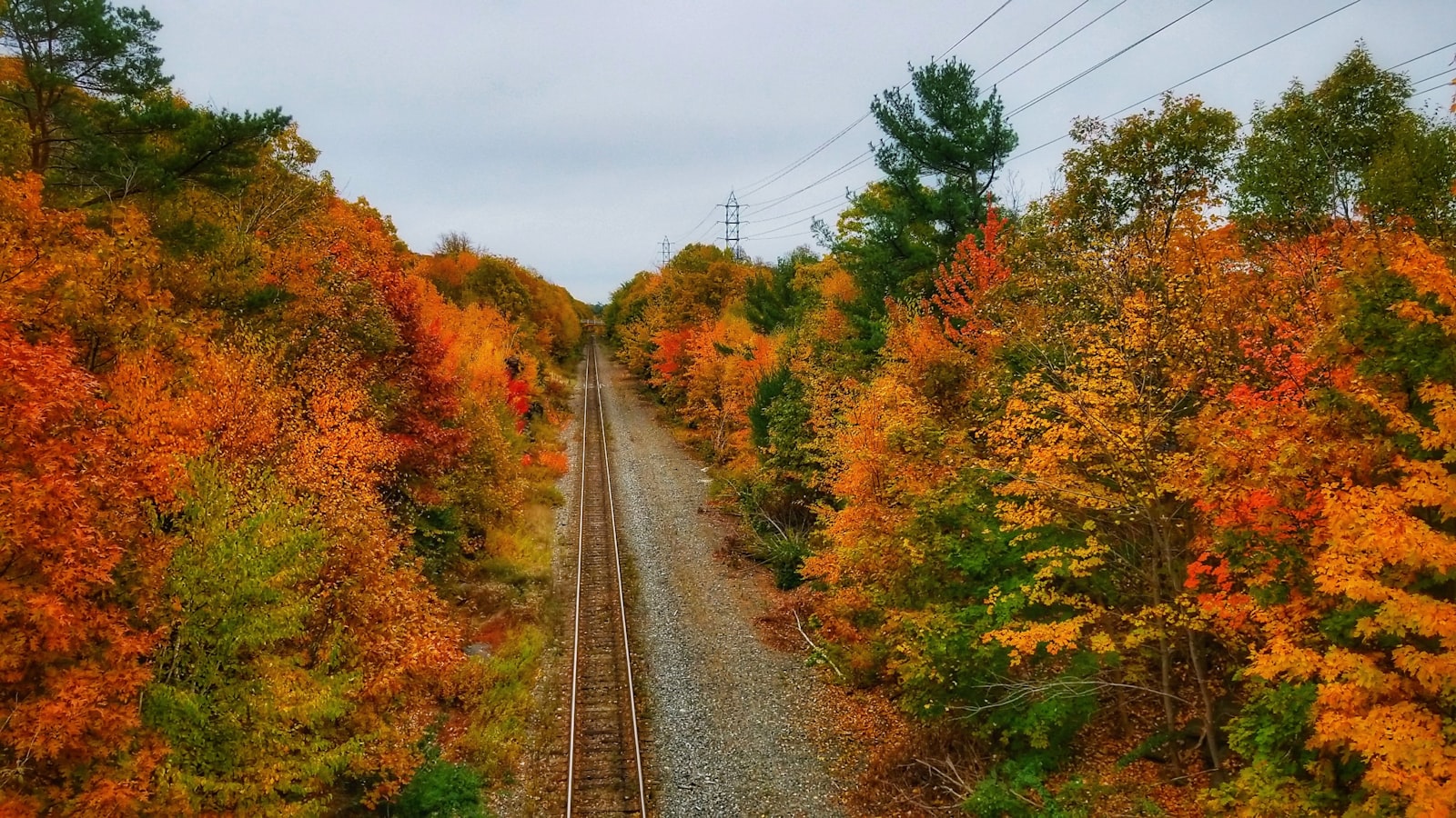 Rail line running through trees in Canada