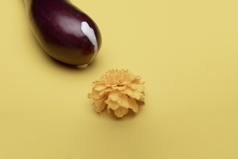 brown and white garlic on white surface