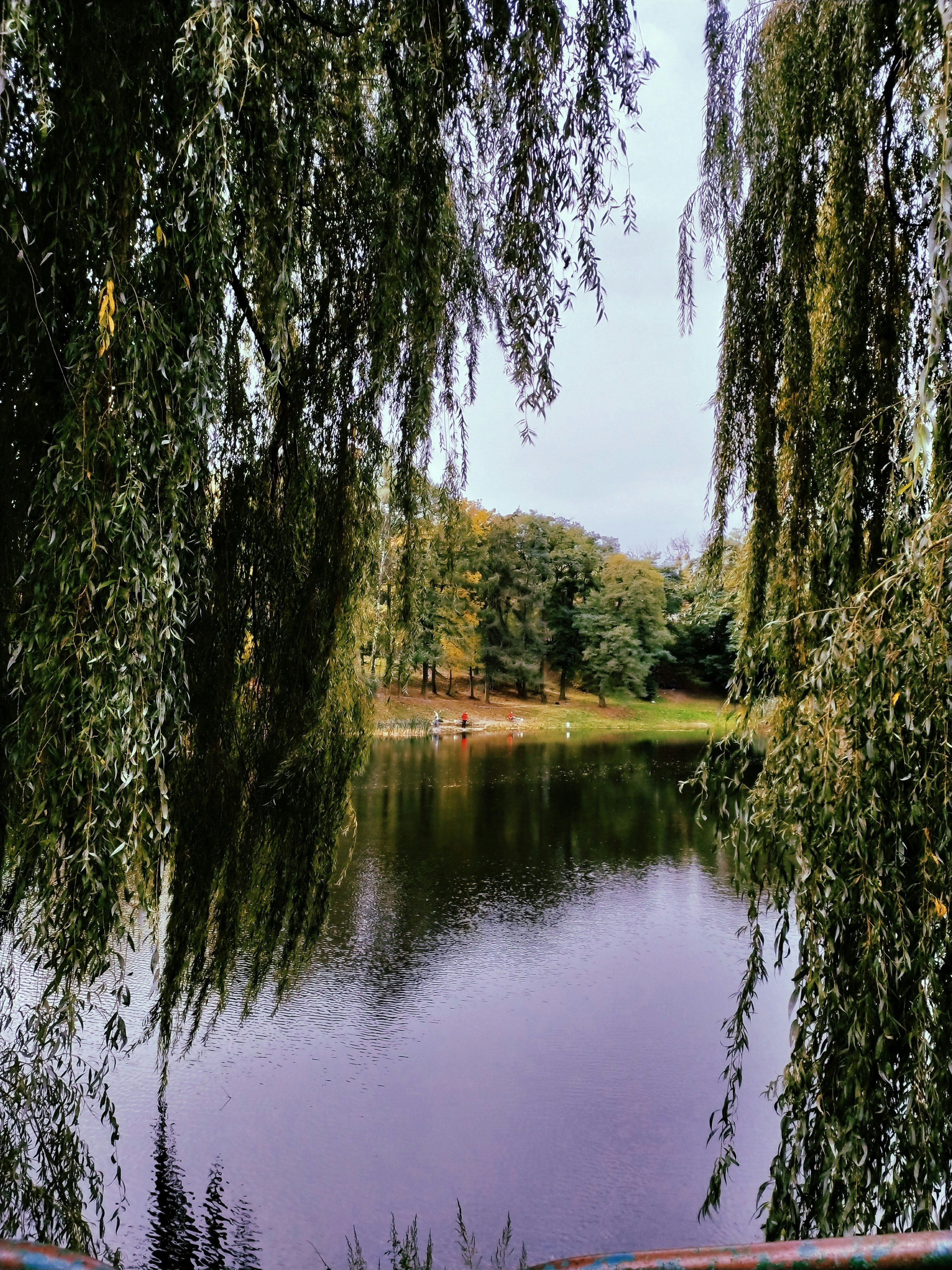 Photo by khrystynadrevylo