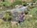 A person wearing gloves and a mask is cleaning up a littered stream surrounded by grass and rocks. The waterway is cluttered with various debris, indicating pollution.