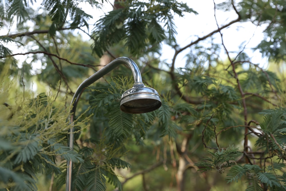 silver heart shaped pendant on green tree during daytime