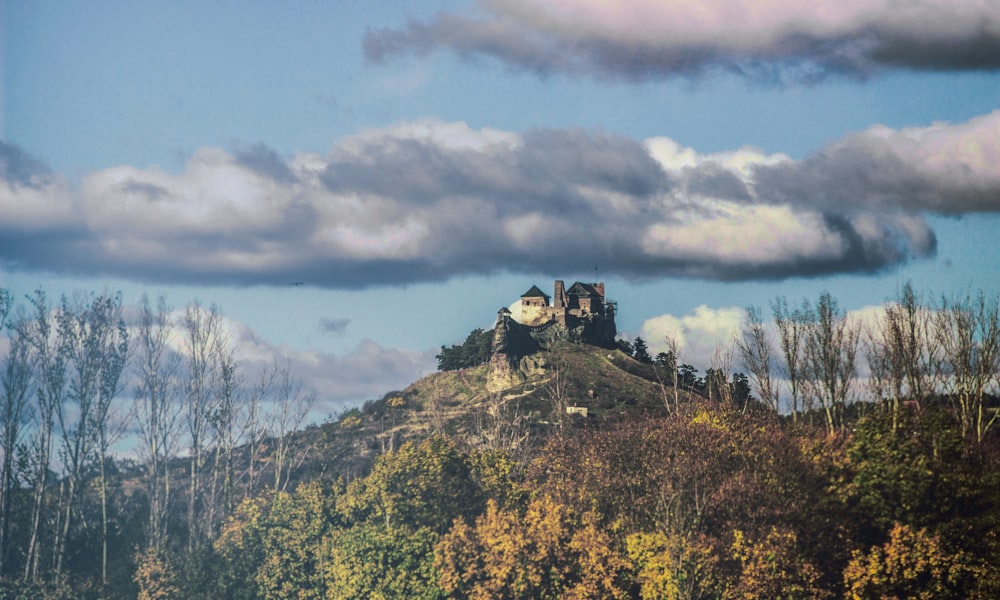 green trees on hill under cloudy sky during daytime