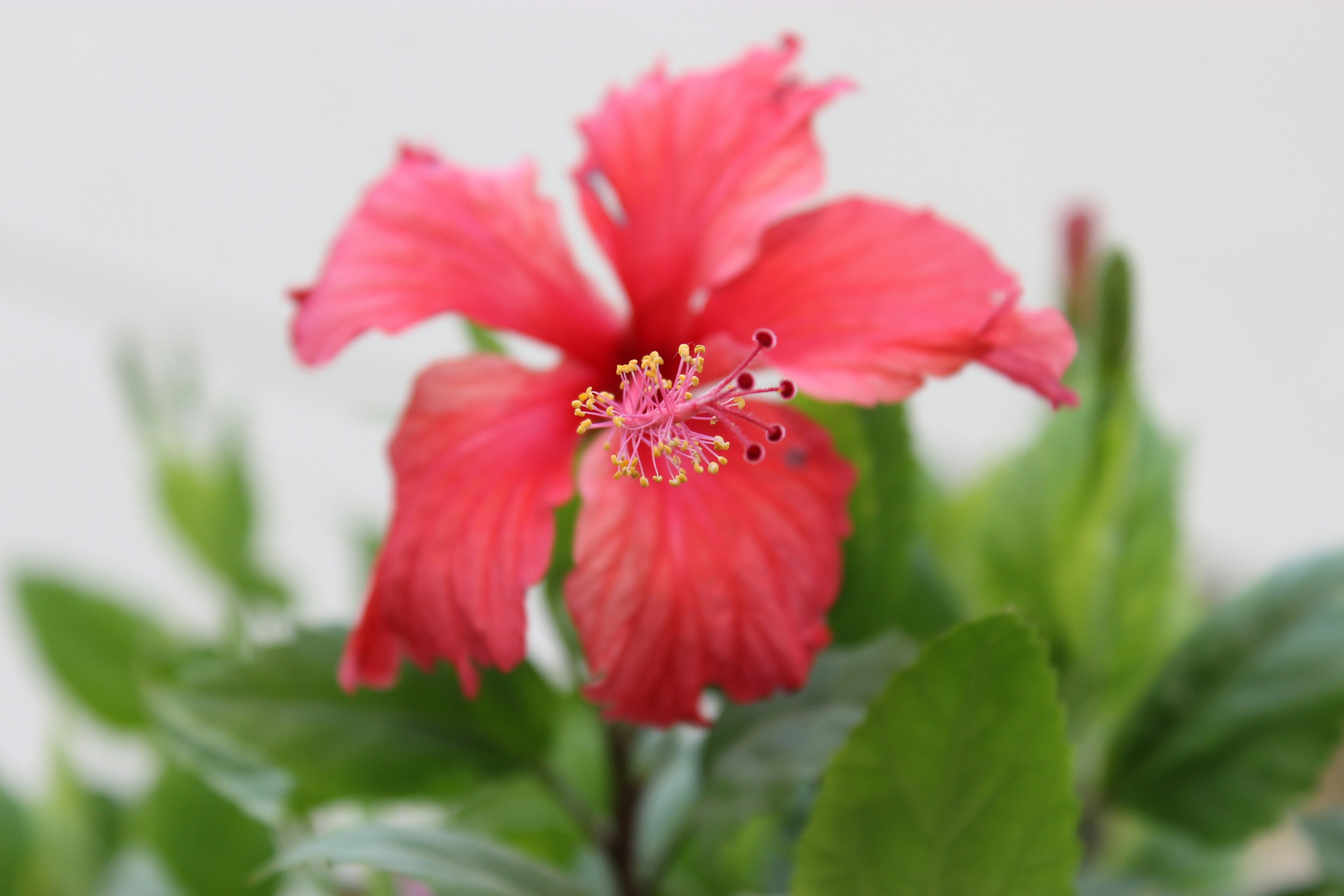 Photo by zeeshantejani