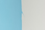 blue textile on white surface