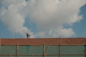 A person wearing a hat works on a tiled roof under a blue sky with large white clouds. The scene portrays typical rural or suburban architecture with a focus on the solitary worker who seems engaged in repairing or inspecting the roof tiles. Below the tiles, a semi-transparent green netting is visible, possibly for safety or construction purposes.