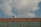 A person wearing a hat works on a tiled roof under a blue sky with large white clouds. The scene portrays typical rural or suburban architecture with a focus on the solitary worker who seems engaged in repairing or inspecting the roof tiles. Below the tiles, a semi-transparent green netting is visible, possibly for safety or construction purposes.