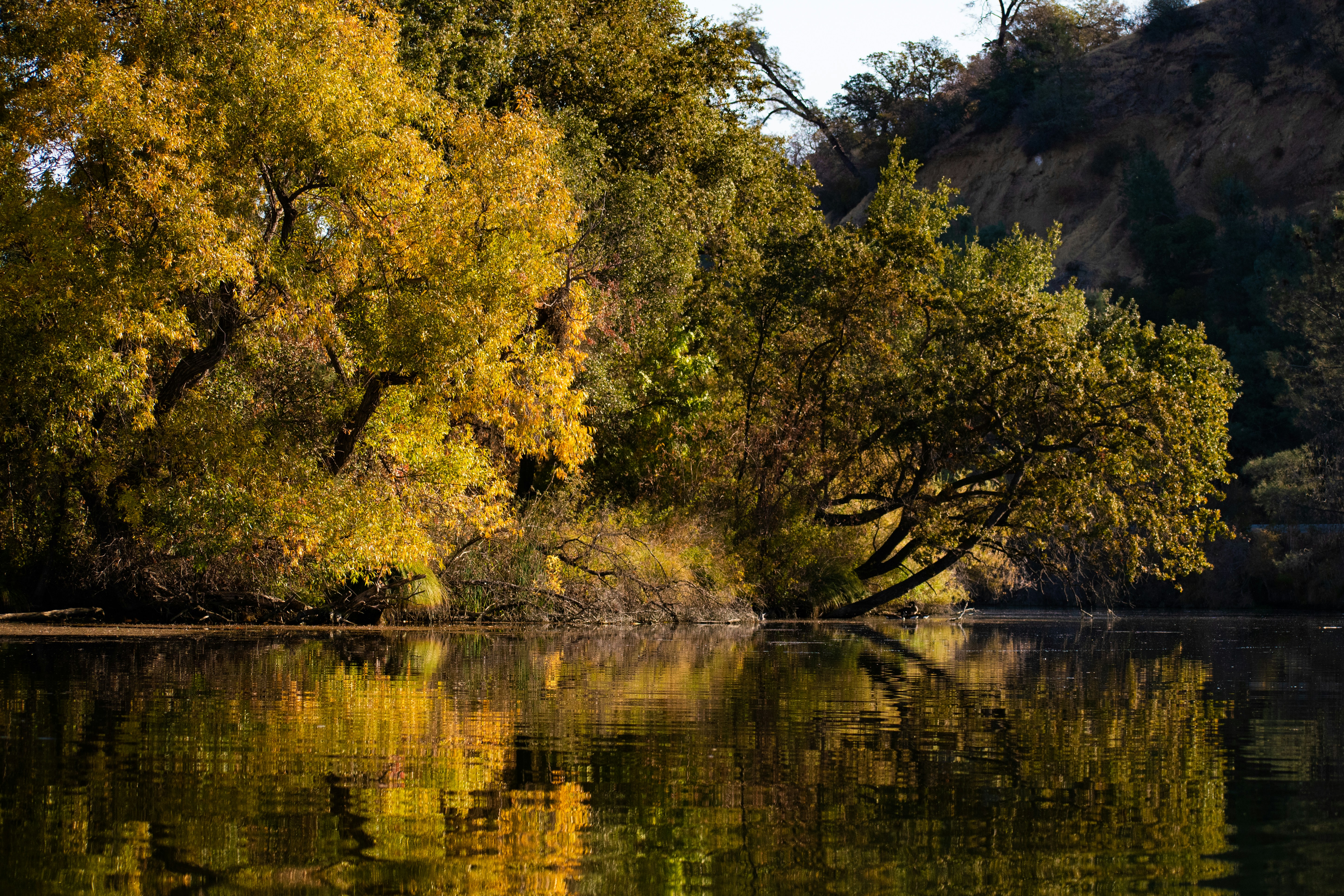 Photo by elisastonephotography