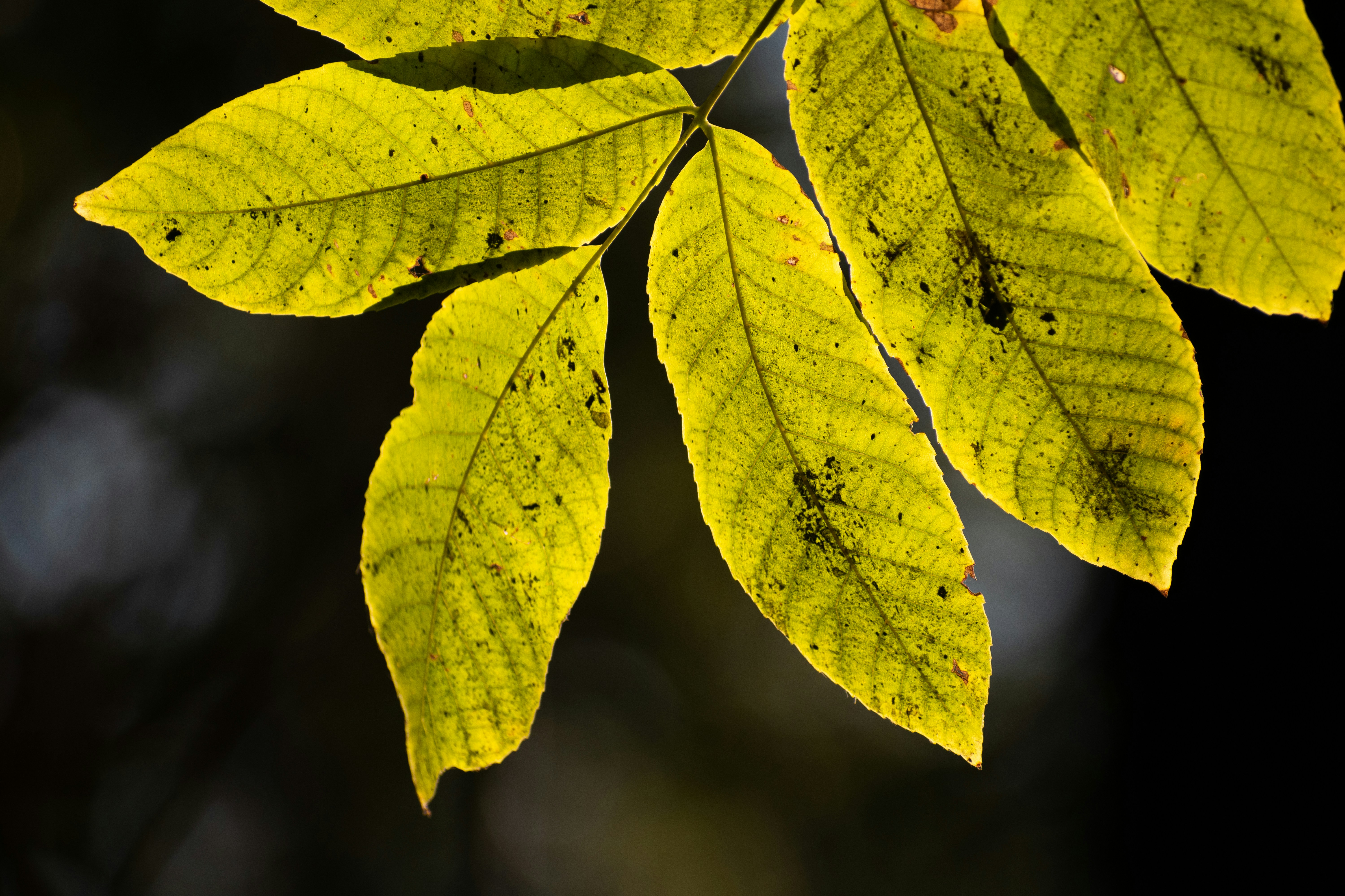 Photo by elisastonephotography