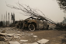 A scene depicting the aftermath of a devastating event, showing a burned-out car covered with fallen branches, surrounded by scattered debris. The sky is hazy, likely due to smoke or ash, and charred trees stand in the background.