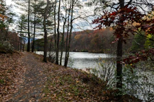 A scenic trail nearby winding through tall trees and vibrant foliage.