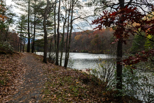 Trail winding through dense forest and rolling hills with autumn colors.