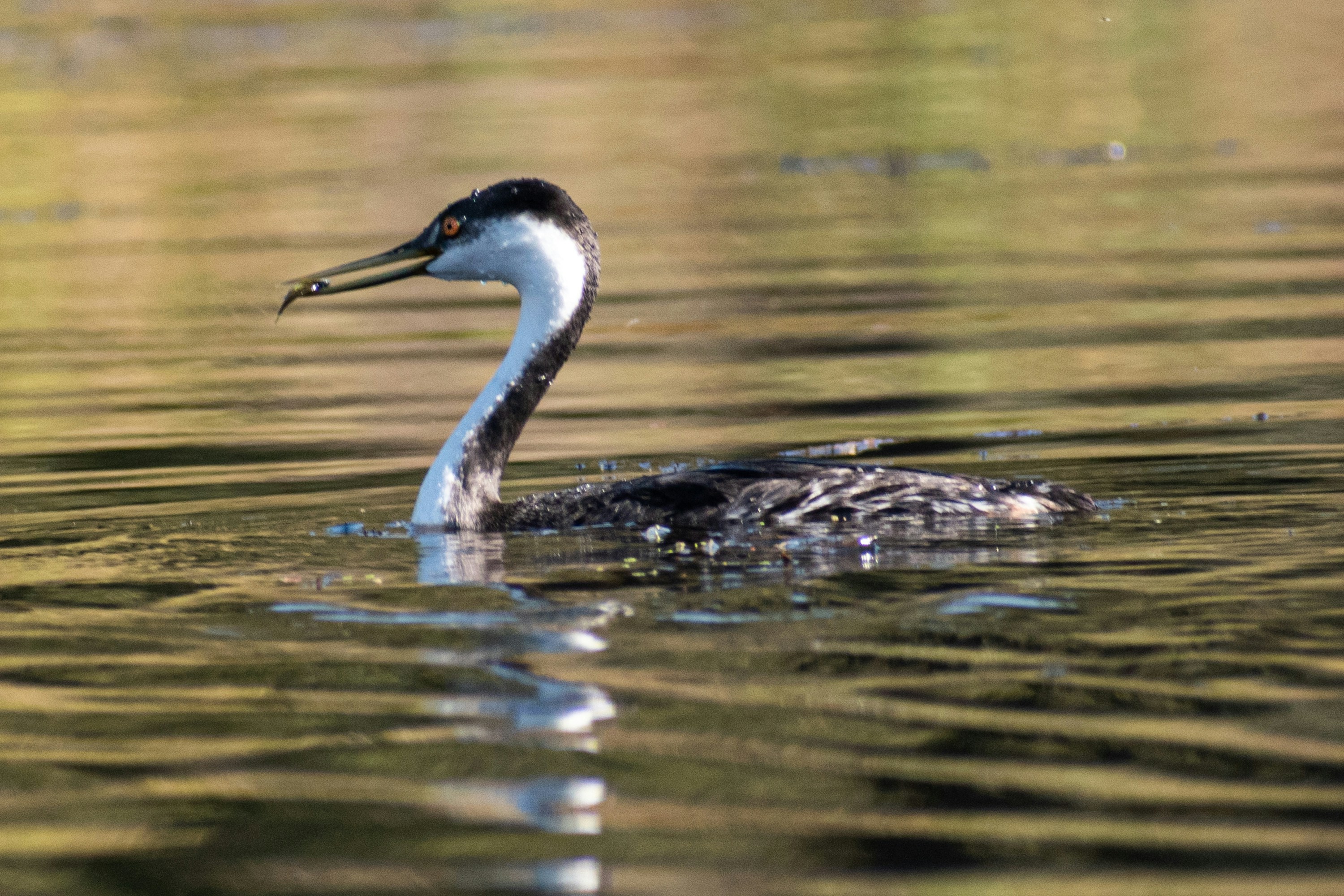 Photo by elisastonephotography