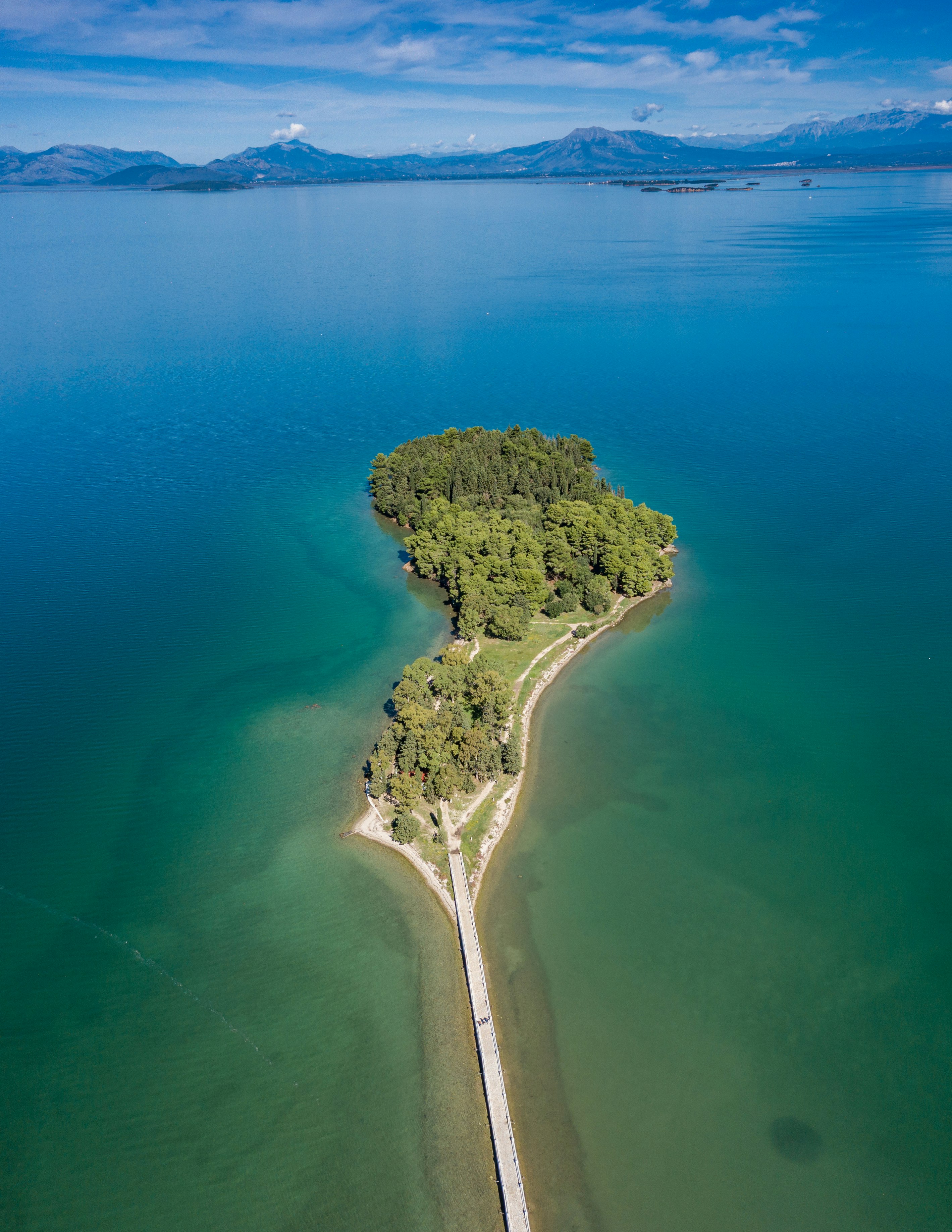 aerial view of green trees on island during daytime