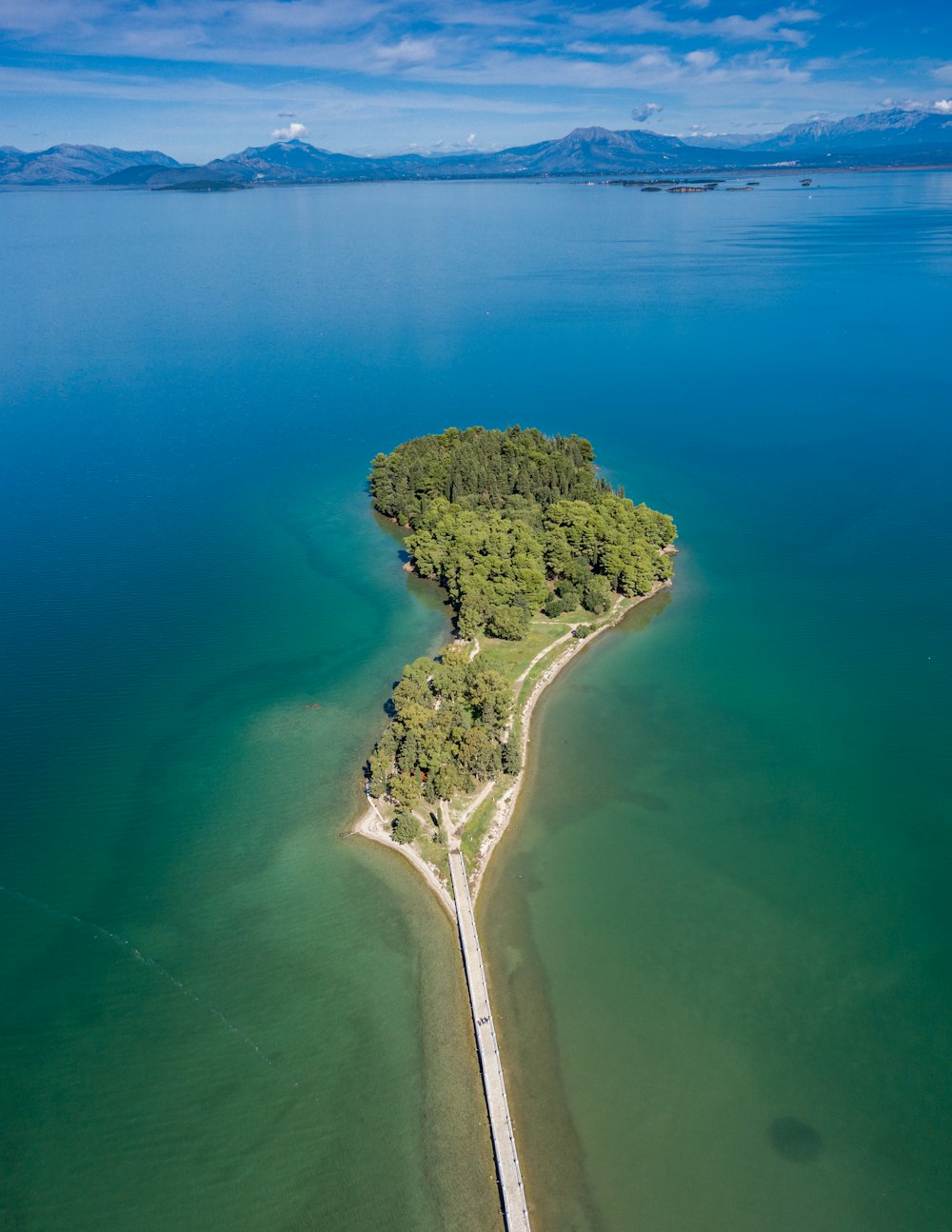 aerial view of green trees on island during daytime