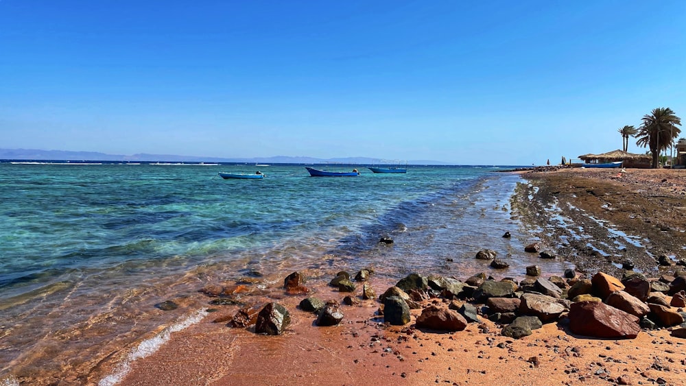 brown rocky shore under blue sky during daytime