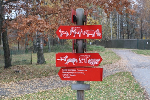 A wooden post featuring three red signs with white animal illustrations. The signs point in different directions and include images of a horse, elephant, pig, and snake on the top sign, a monkey and cheetah on the middle sign, and a bear with other figures on the bottom sign. The text on the bottom sign includes directions to a children's zoo, souvenir shop, cafeteria, and exit. The background shows a forested area with autumn-colored leaves and a paved path.
