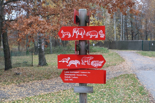 A wooden post featuring three red signs with white animal illustrations. The signs point in different directions and include images of a horse, elephant, pig, and snake on the top sign, a monkey and cheetah on the middle sign, and a bear with other figures on the bottom sign. The text on the bottom sign includes directions to a children's zoo, souvenir shop, cafeteria, and exit. The background shows a forested area with autumn-colored leaves and a paved path.