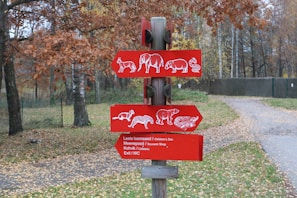 A wooden post featuring three red signs with white animal illustrations. The signs point in different directions and include images of a horse, elephant, pig, and snake on the top sign, a monkey and cheetah on the middle sign, and a bear with other figures on the bottom sign. The text on the bottom sign includes directions to a children's zoo, souvenir shop, cafeteria, and exit. The background shows a forested area with autumn-colored leaves and a paved path.