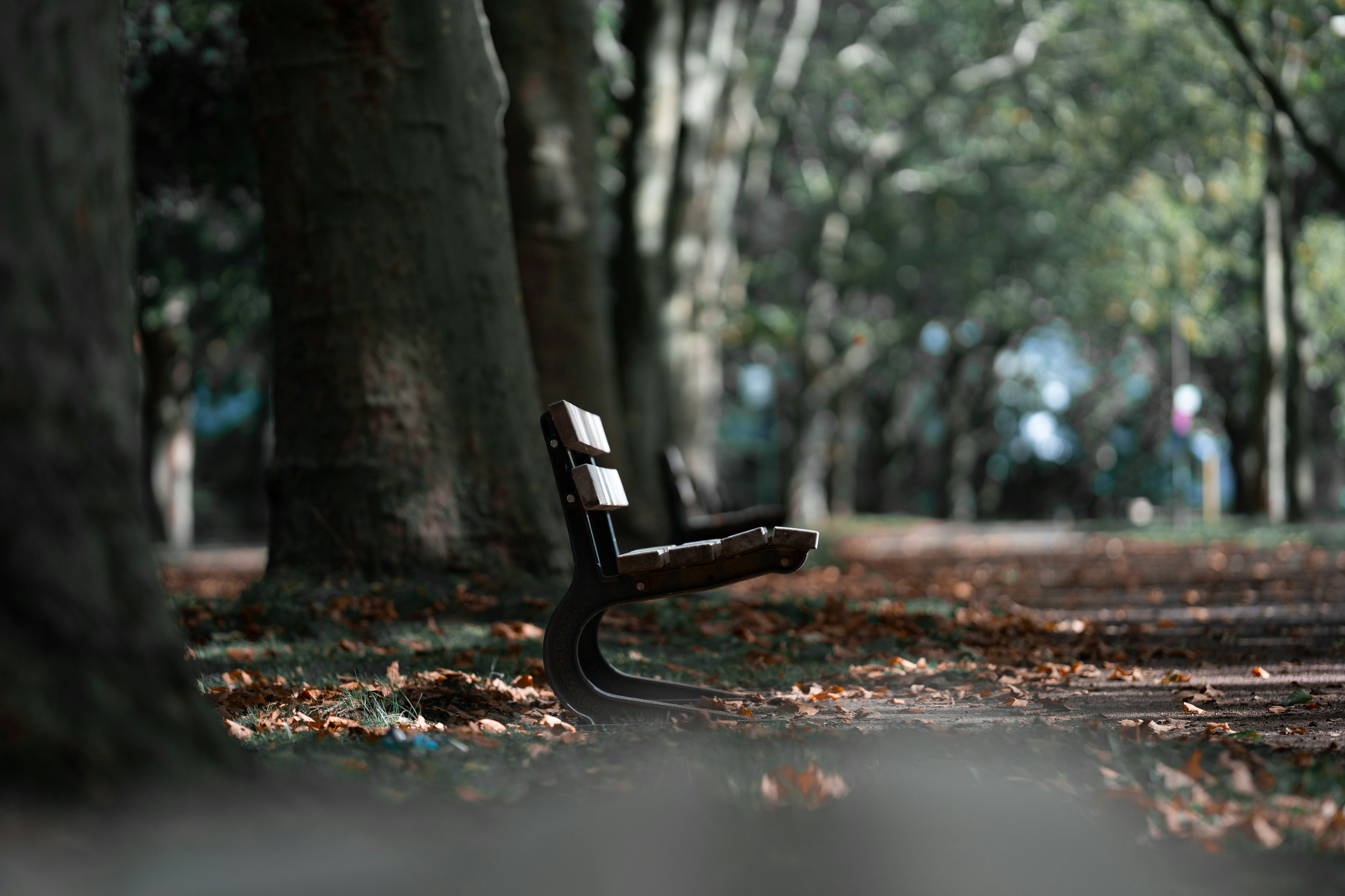 Photo by omarvellous14