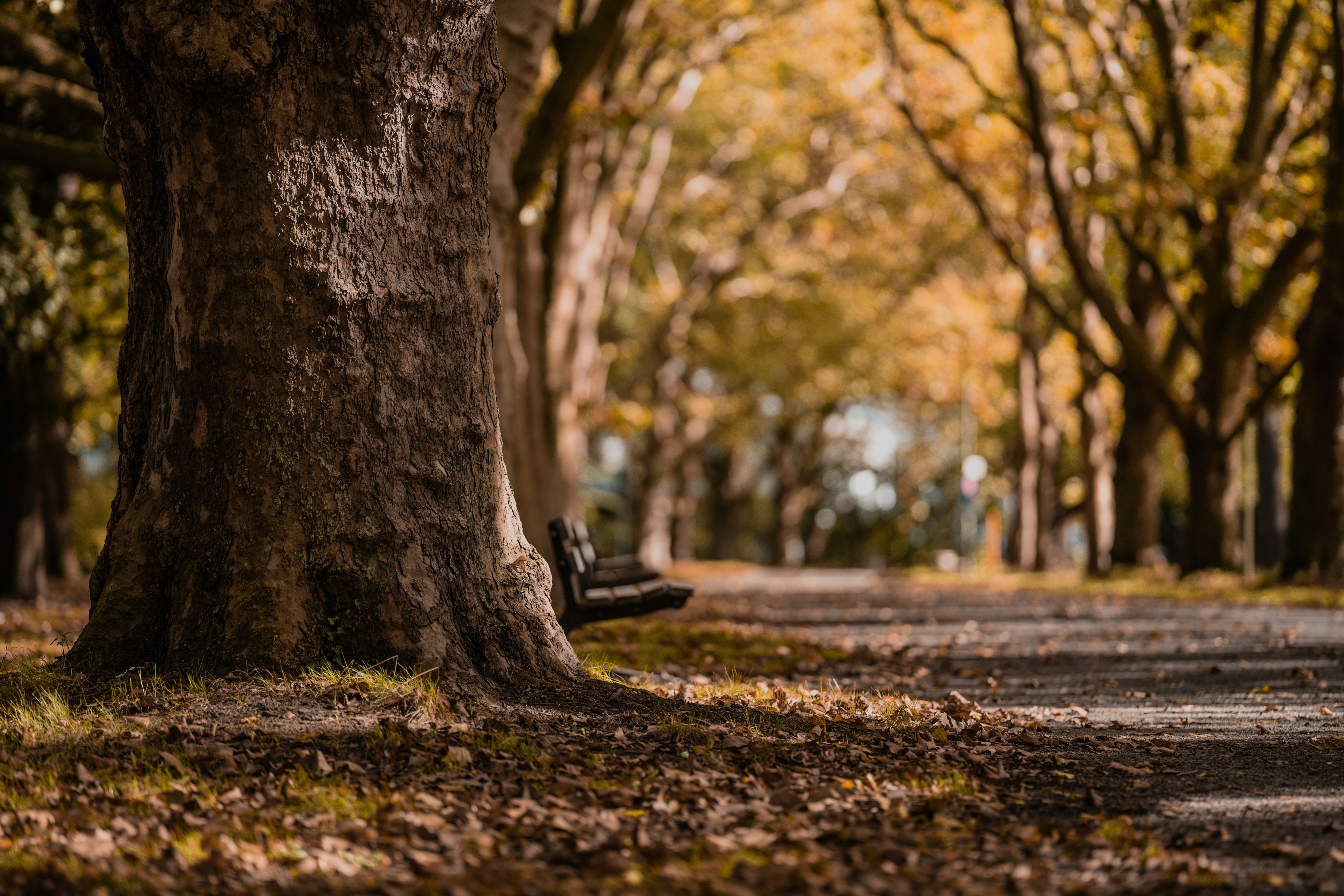 Photo by omarvellous14