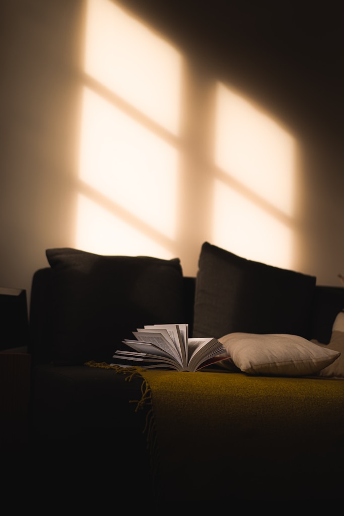 Cozy Patterned Cushion