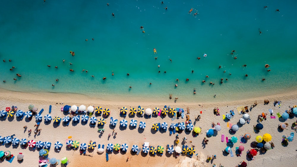 people on beach during daytime