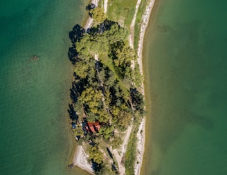 An aerial view of a narrow strip of land surrounded by water. The landscape is densely populated with trees, casting shadows on the ground. A small building with a reddish-brown roof is visible amidst the green foliage. The shoreline is edged with rocks and sand, and the water appears calm and clear.