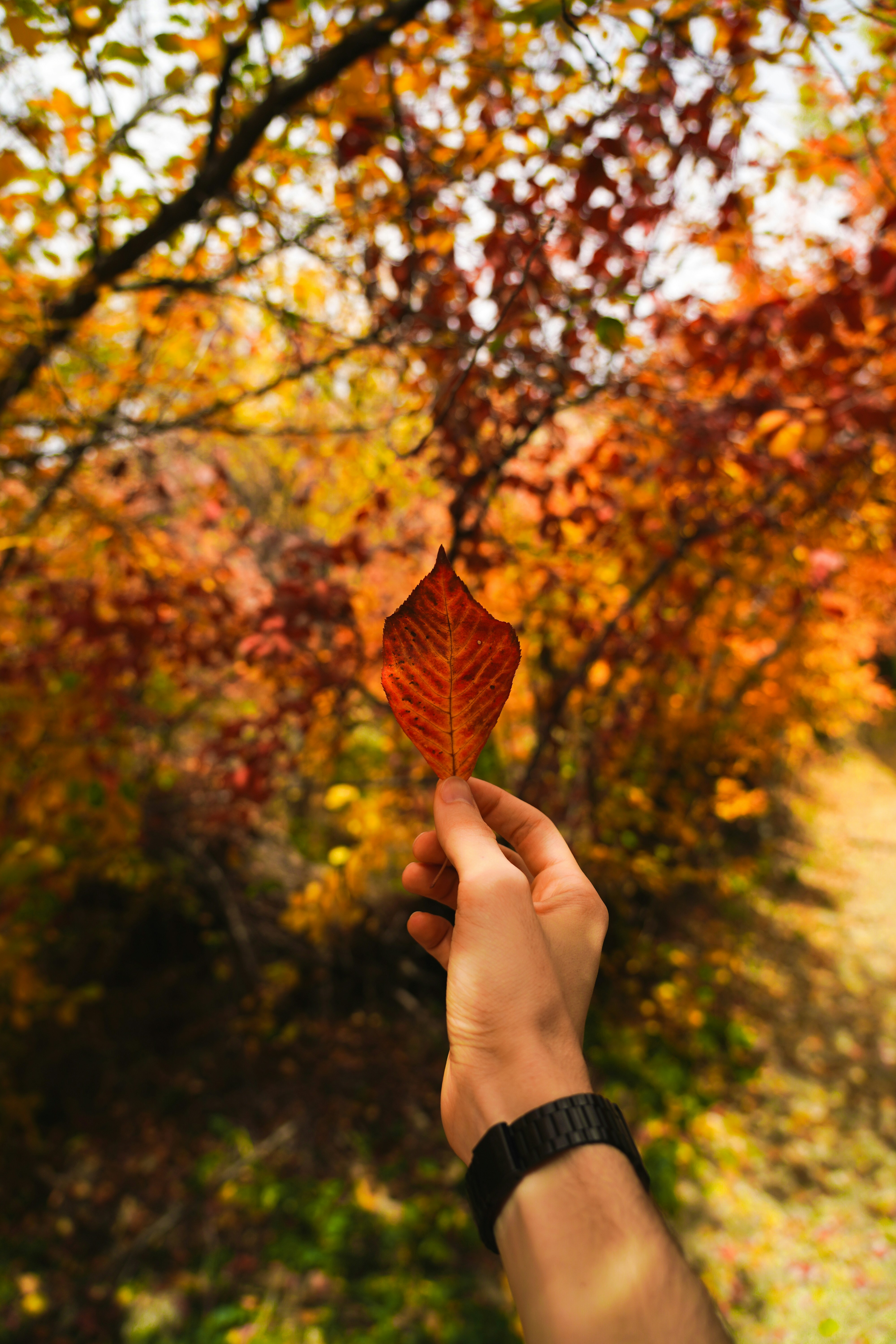 Photo by kiarash_mansouri