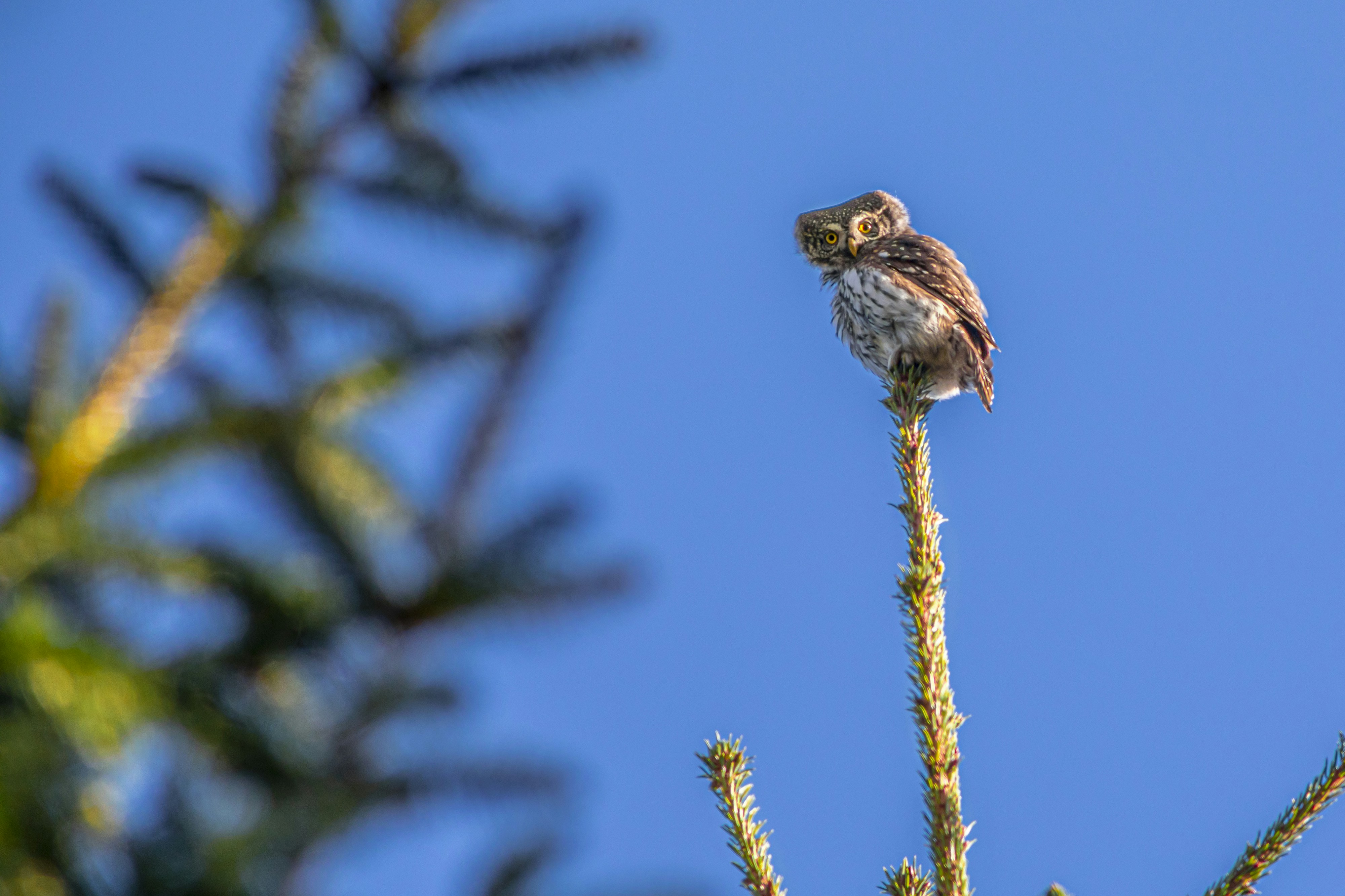 Photo by erik_karits