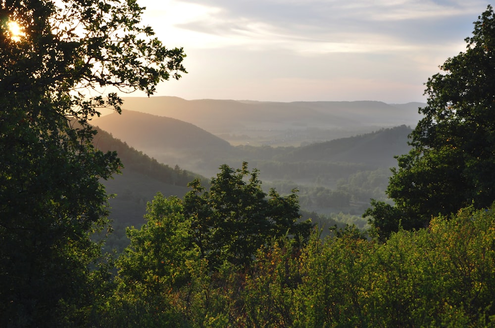 green trees near mountain during daytime