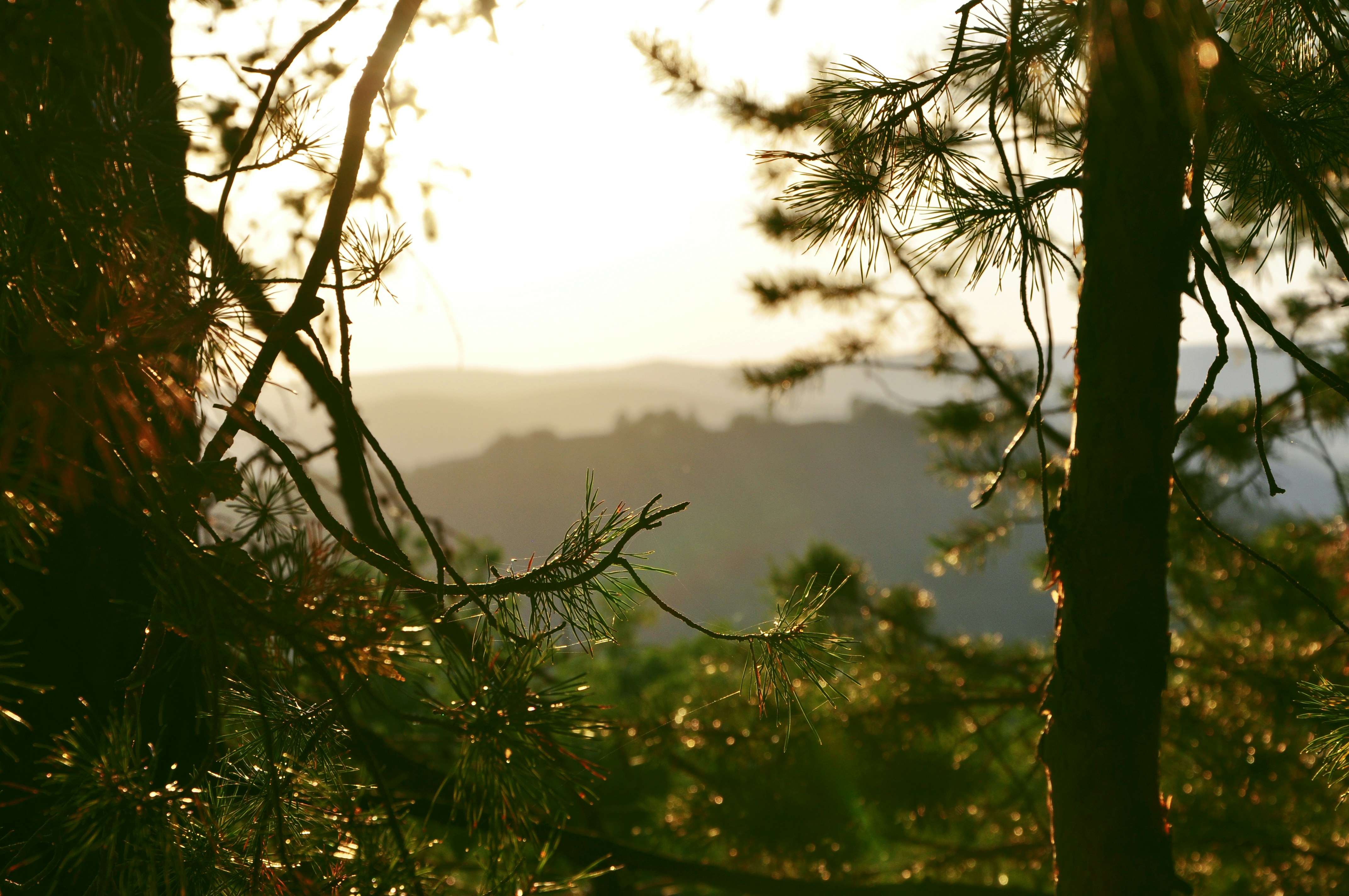 Ural Mountains, Russia - Beautiful place of the Ural mountains.