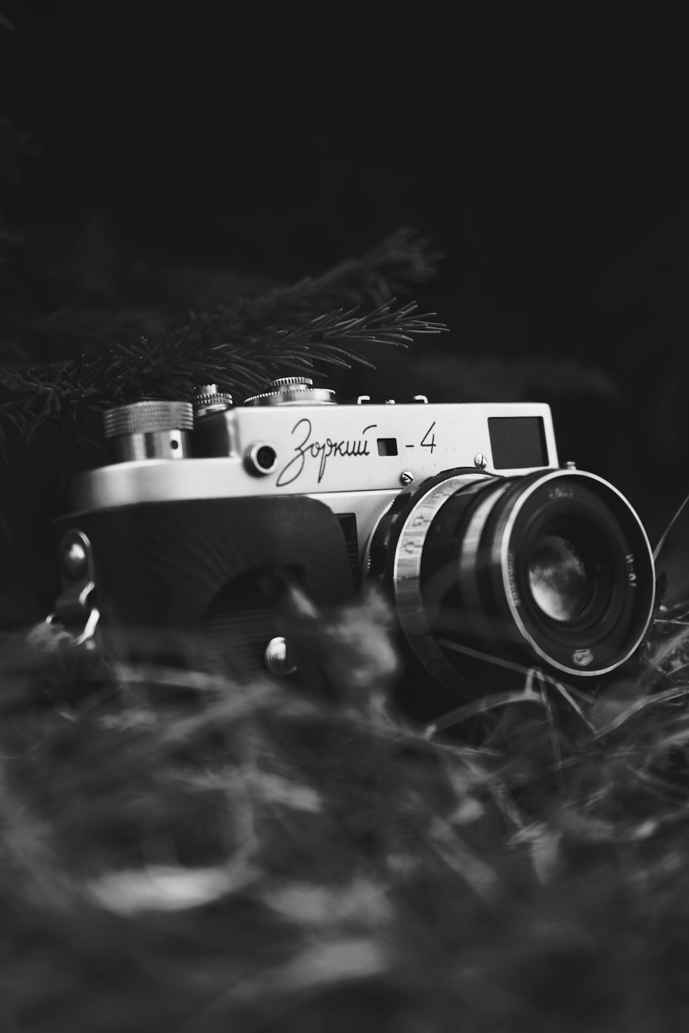 grayscale photo of a camera on grass