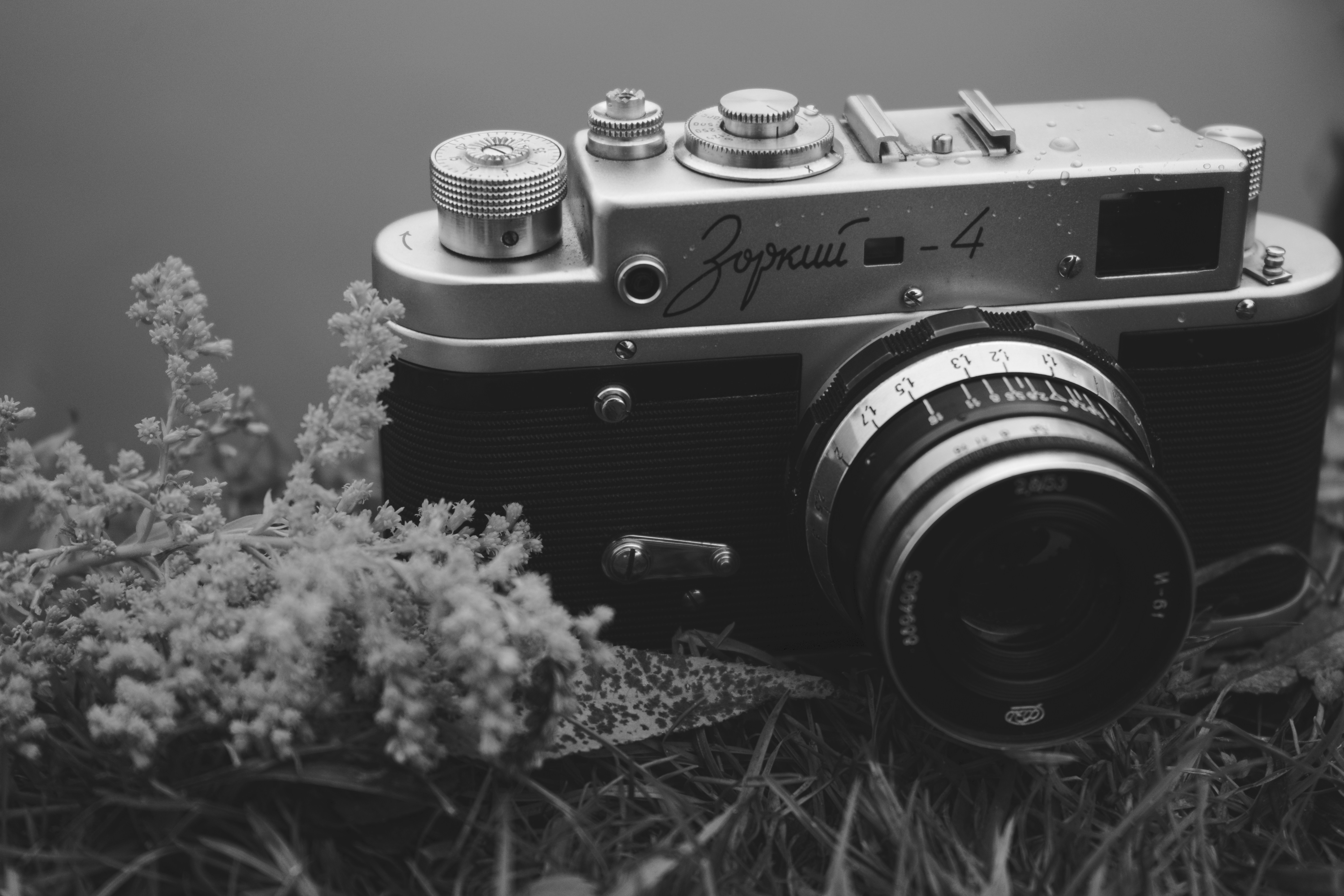 Photo by ivan_bolshakov