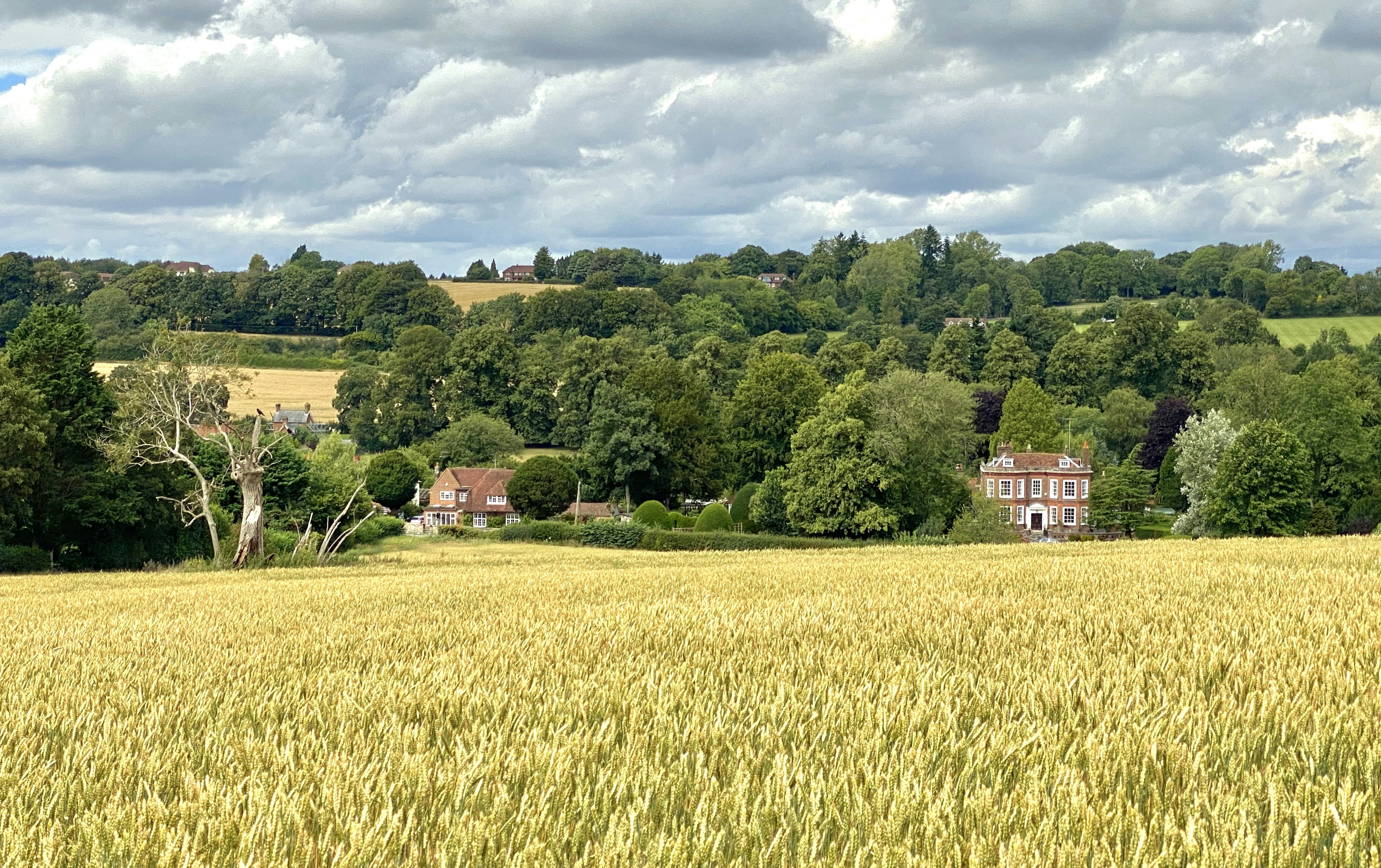 Photo by thebranches