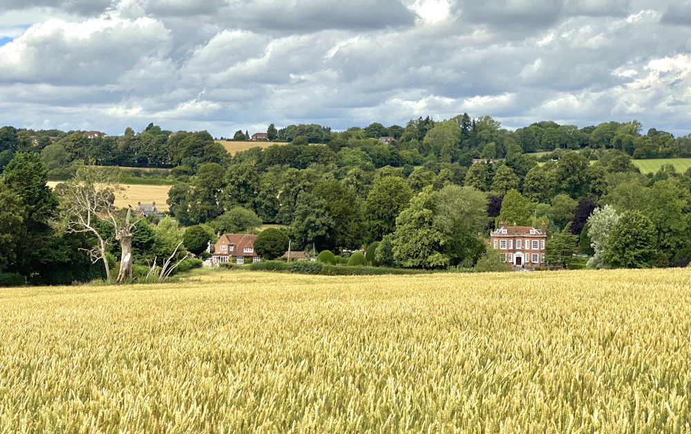 Farmland beside a rural home