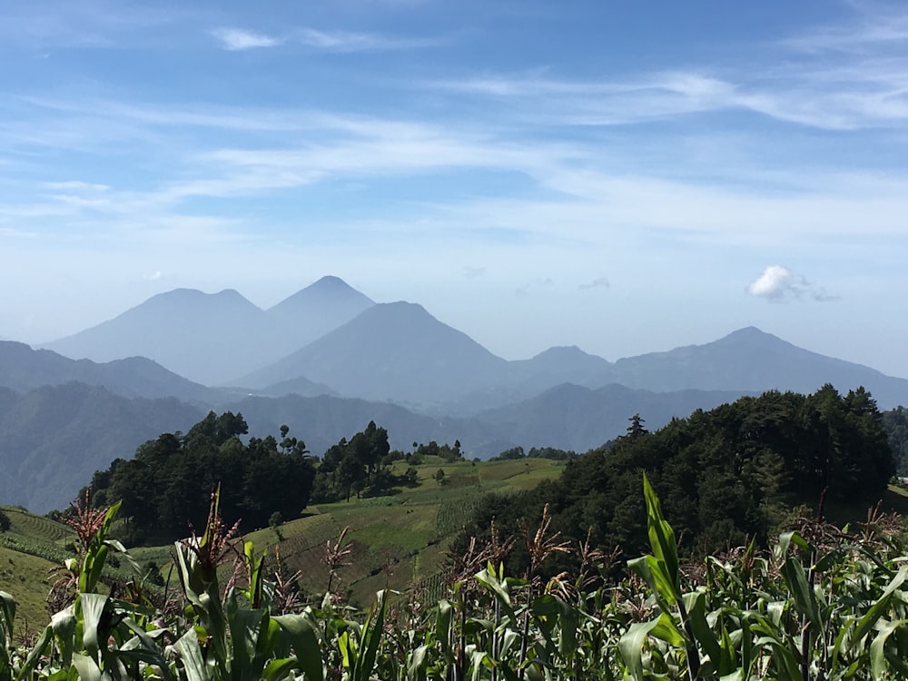 green grass field near mountains during daytime