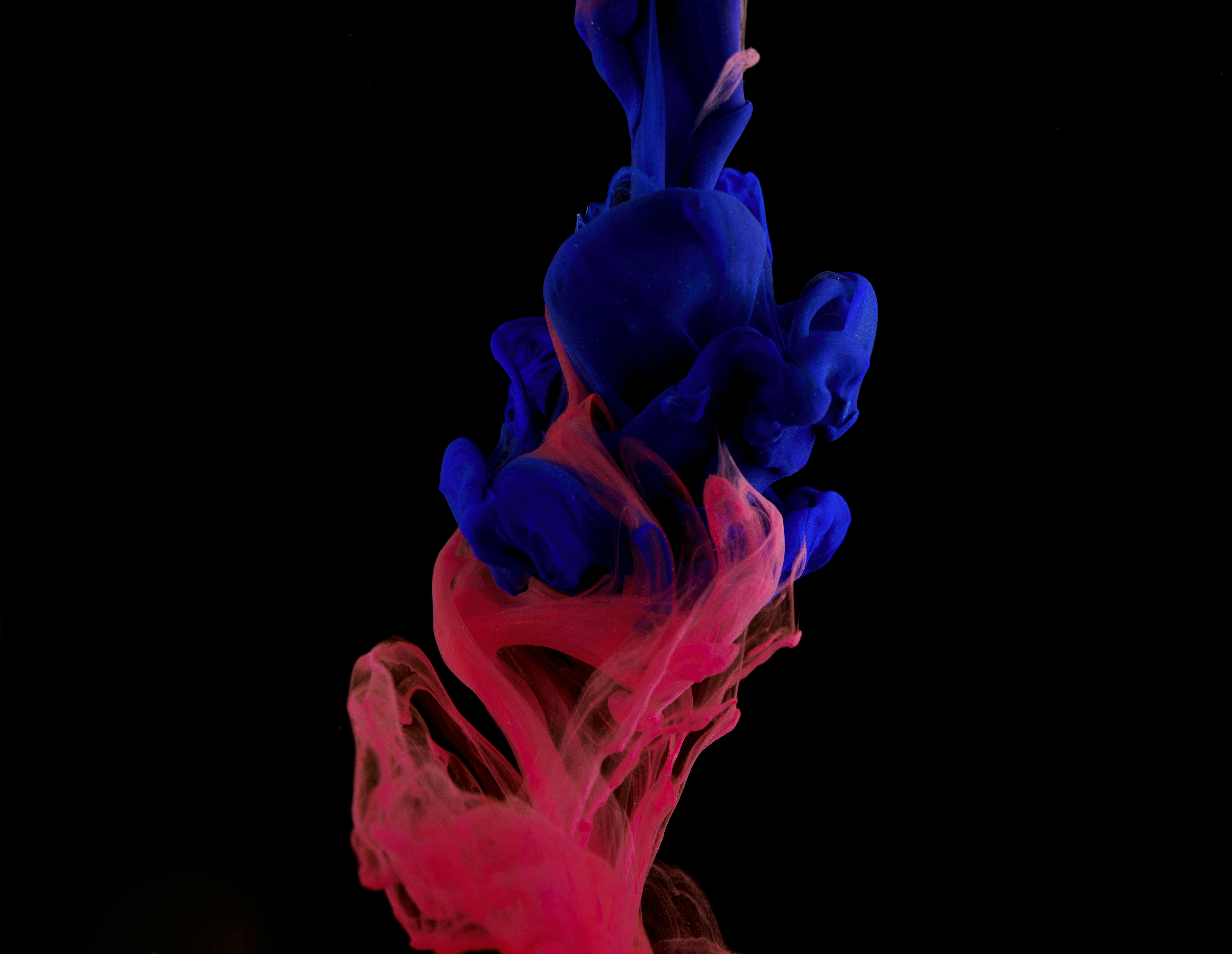 Photo by mickdepaola