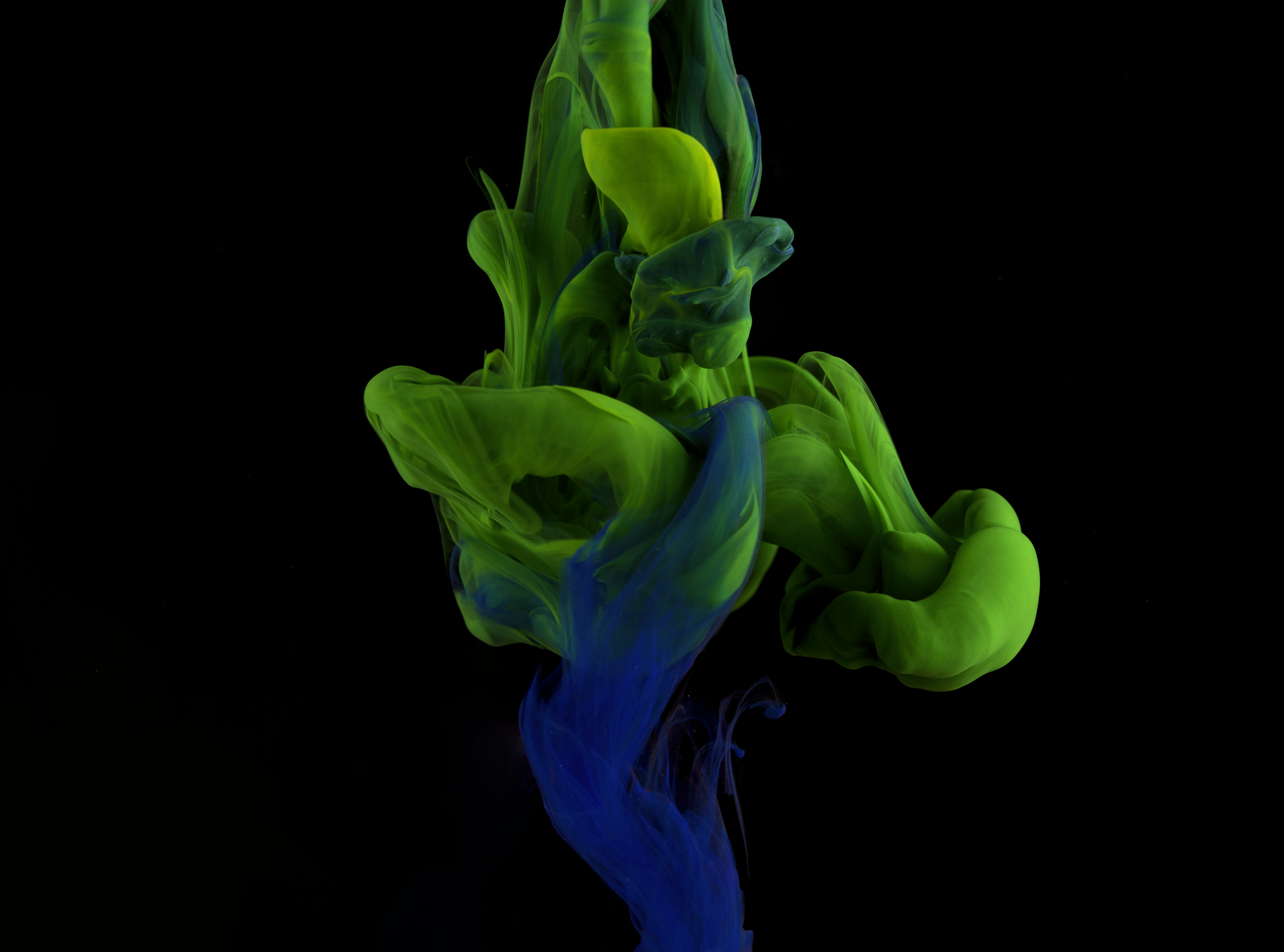 Photo by mickdepaola